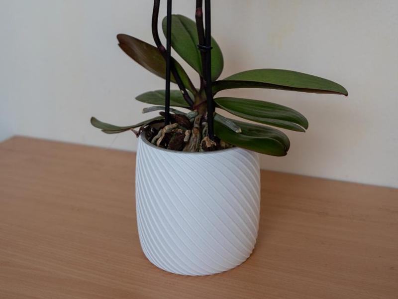 Planter / Vase for Potted Plants 