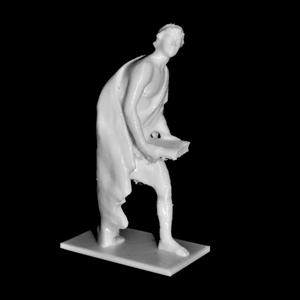 Librarian at The Botanical Garden, Cluj