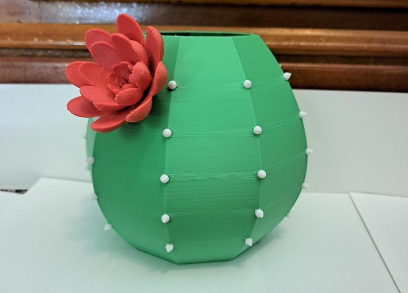Mother's Day Cactus Pot