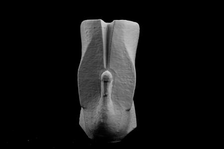 Swan at Lausanne, Switzerland