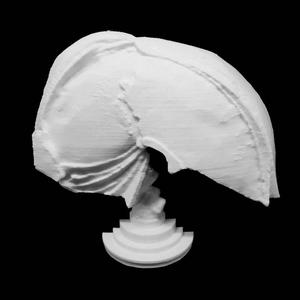 Sweeping Gesture for Maximum Space at the Middelheim Museum in Antwerp, Belgium