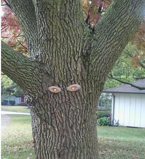 Spooky Tree Eyes Kit For Halloween