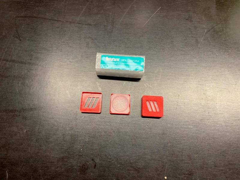 Parkside camphor box   