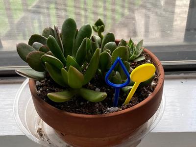 Plant requirements tags