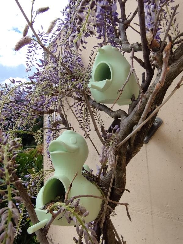 Bird feeder