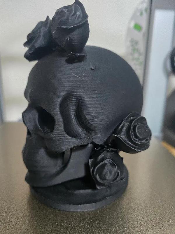 skull with flowers   