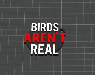 Birds Aren't Real Keychain   