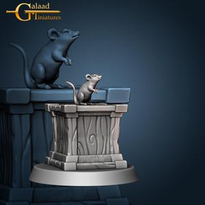 Gypsum the Rat
