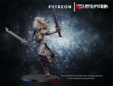 Space elves warrior support ready