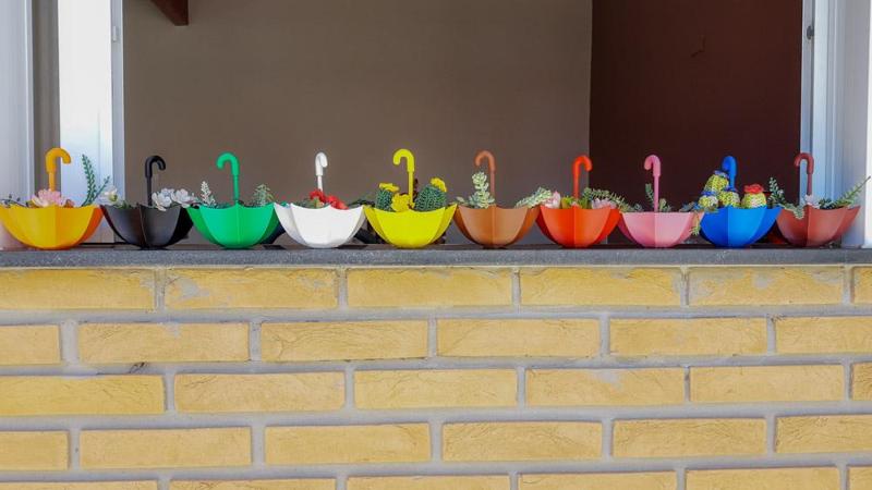 umbrella plant vase