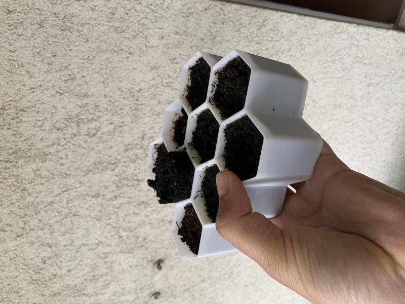 Starter Plant Grower