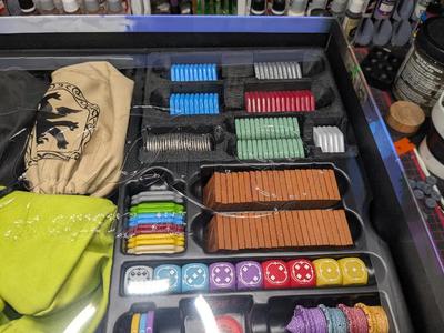 Castles of Burgundy Special Edition Insert Acrylic Tiles (Hollowed)   