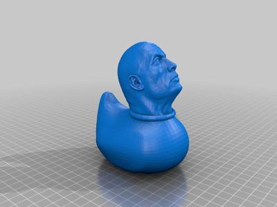 The Rock ducky