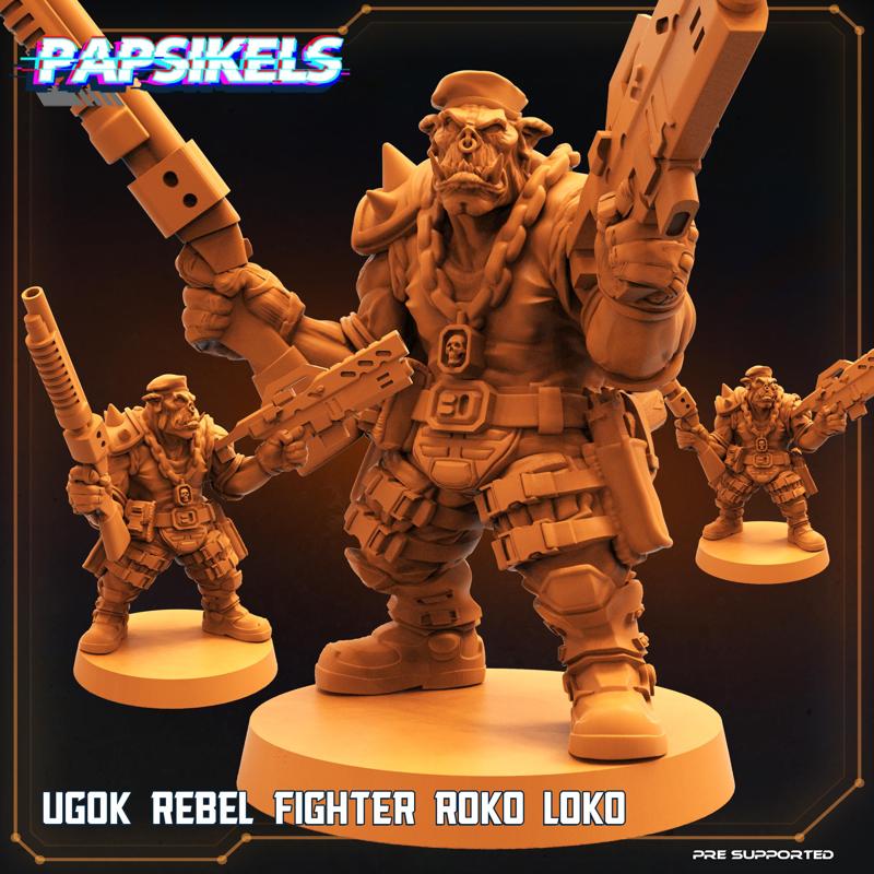UGOK REBEL FIGHTER ROKO LOKO