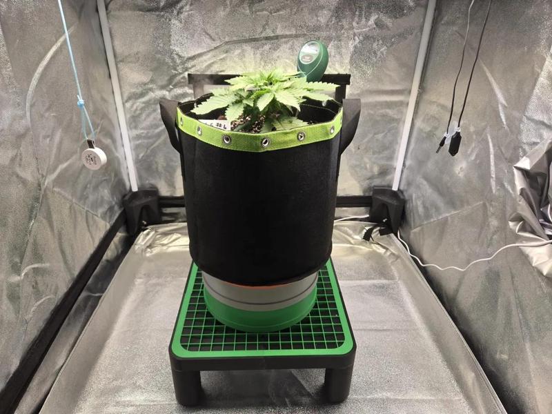 Drainstand (35x35x13cm) + Raiser (⌀25cm)   