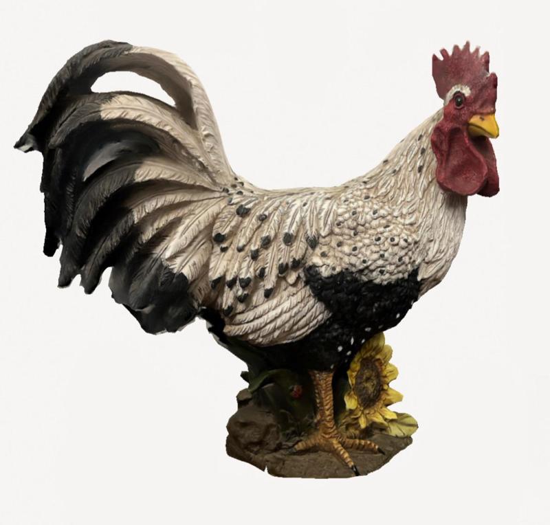 Rooster