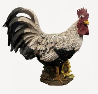 Rooster