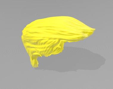 trump hair
