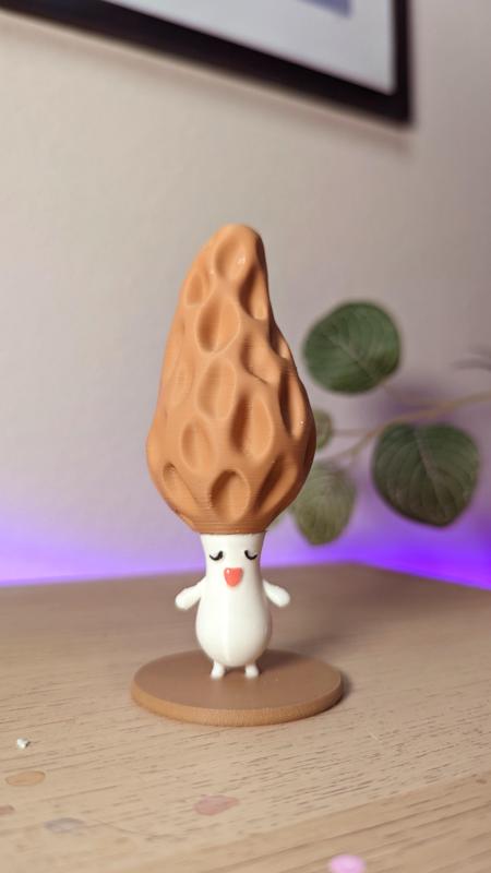 Morel Mushroom