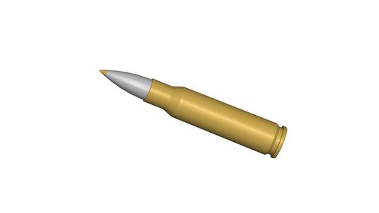 bullet 308