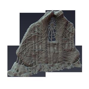 Flayed Apse