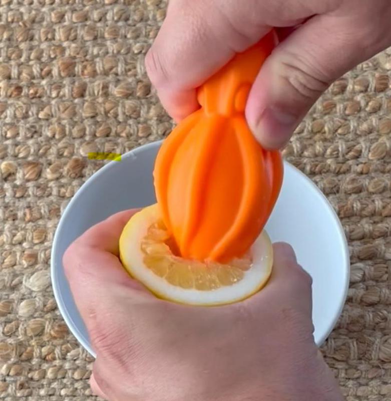 Squid Citrus Juicer