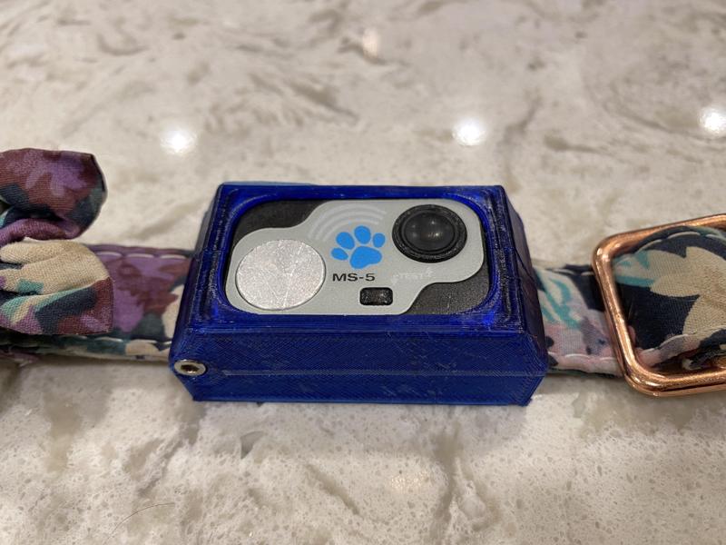 High Tech Pet - Automatic Dog Door Collar Tag : 1in (25mm) Collar Mount