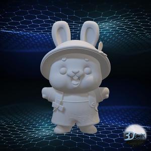 Cute Rabbit Decor