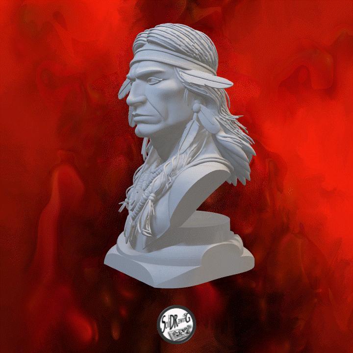 Spirit Chief – SoliDRawinGs C162