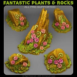 ROCKS OF ROSES