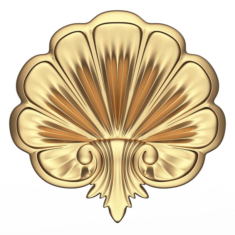 Shell Carved 05