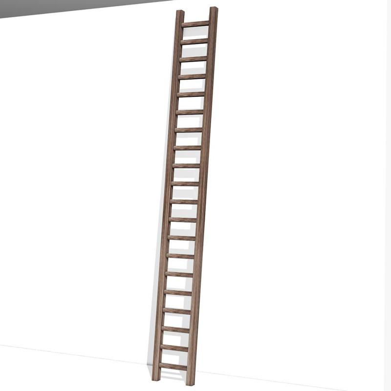 Wooden Ladder