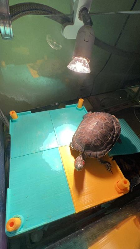 Tortoise platform/dock
