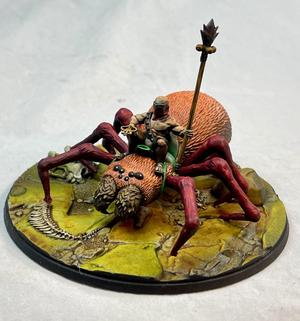 Spider Riders