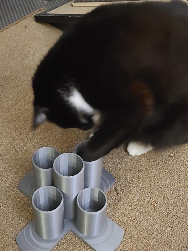 Treat Tower - Enrichment Puzzle!