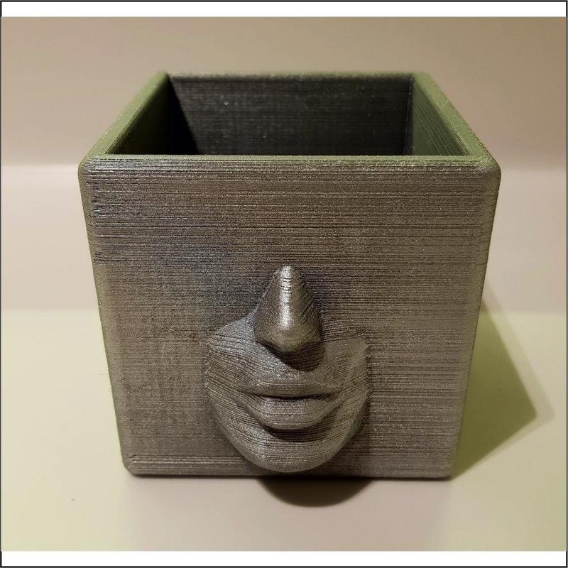 FACE POT