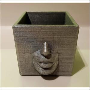FACE POT
