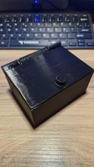 One-Piece Hinged Storage Box (3D Print)