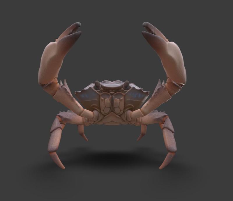 Crab
