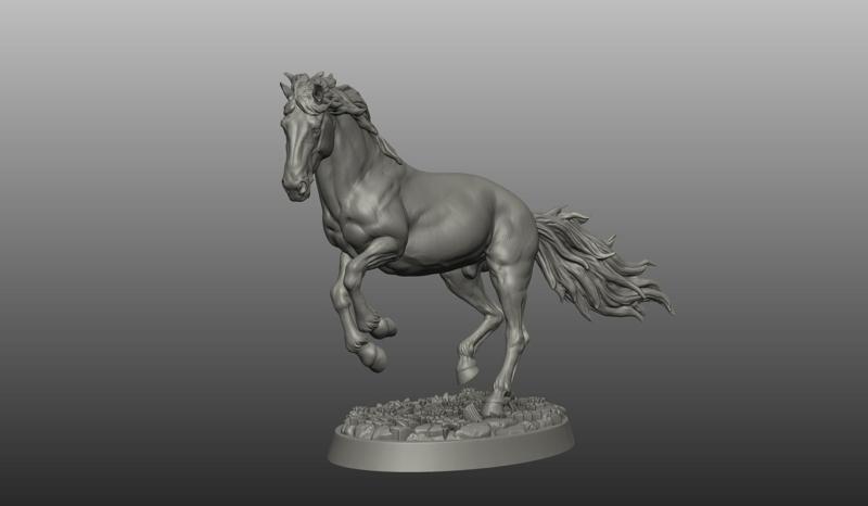 HORSE POSE 16