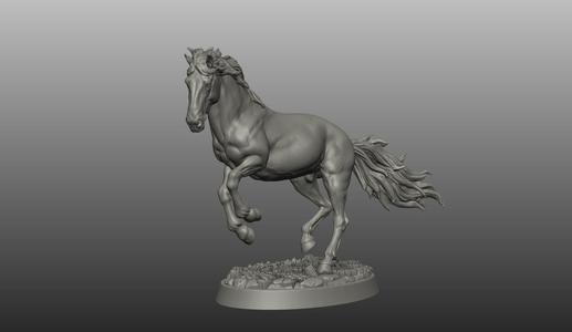 HORSE POSE 16