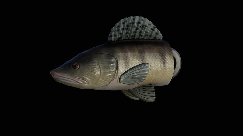 3D fish head zander / pikeperch / Sander lucioperca  keychain / pendant