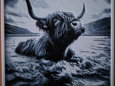 Highland Cow taking a Dip 