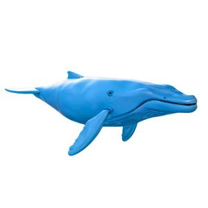 Smiling Blue Whale