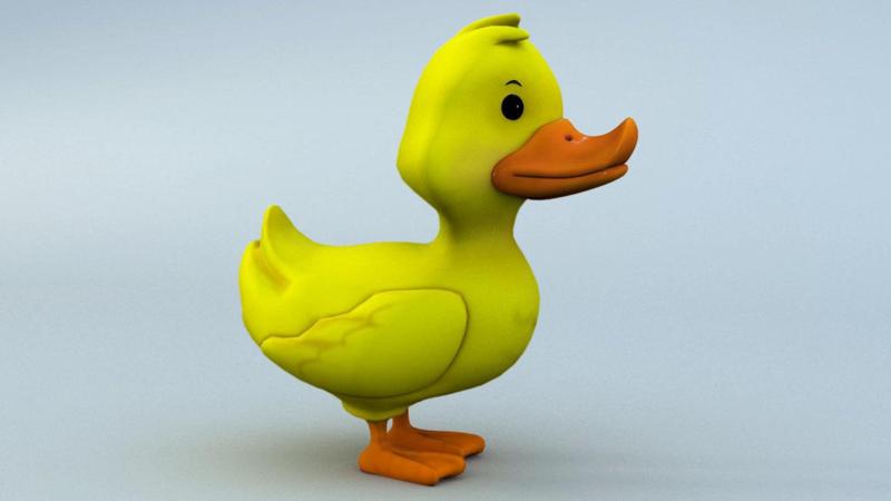 Duck