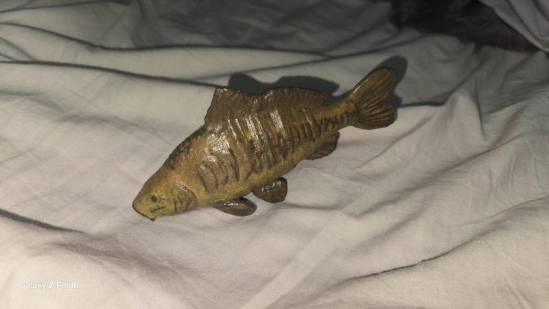 Carp fish FAN-ART. ready to print