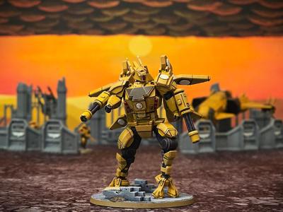 Wayfairers Confederation Commander Suit