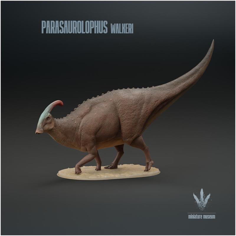 Parasaurolophus walkeri  : The Near Crested Lizard