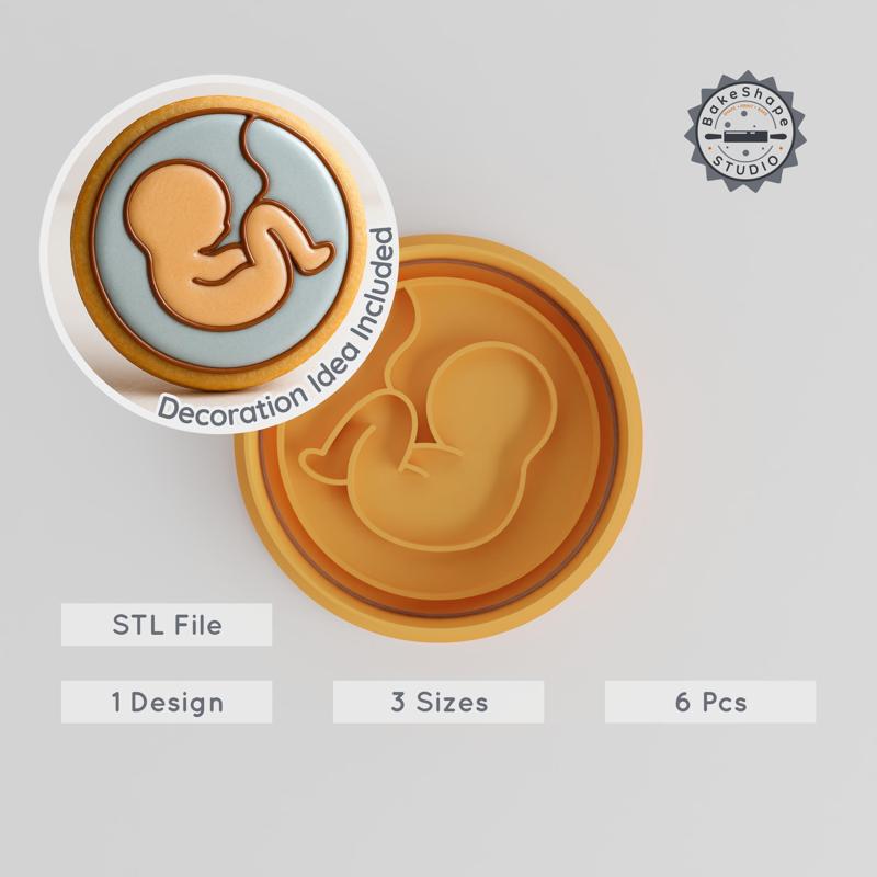 Embryo Cookie Cutter & Stamp Set, Baby Growth, Fetal Development, 6-piece in S/M/L, Perfect for Fondant & Biology Themes