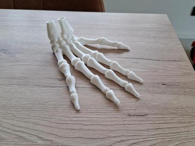 Skeleton - Hand